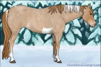 Horse Color:Red Roan Tobiano 