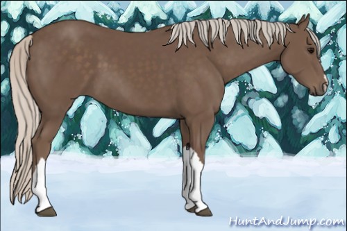 Horse Color:Silver Black 