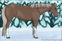 Horse Color:Silver Black 