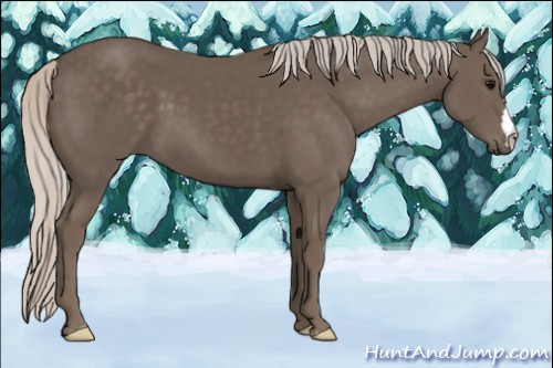 Horse Color:Silver Black 