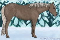 Horse Color:Silver Black 
