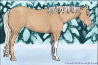 Horse Color:Silver Classic Champagne 