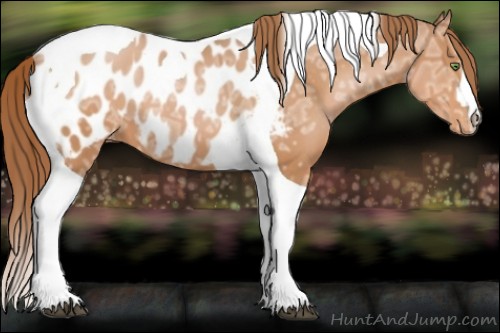 Horse Color:Brown Ice Pearl Tobiano Near Leopard