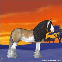 Horse Color:Buckskin Dun Mushroom Splash 
