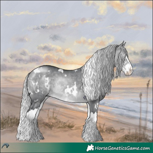 Horse Color:White Spotted Silver Brown Chinchilla Dun Splash Rabicano