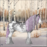 Horse Color:Painted White Spotted Silver Smoky Black Chinchilla Splash Rabicano 