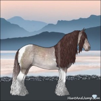 Horse Color:Platinum Chocolate Brown Roan Dun Tobiano 