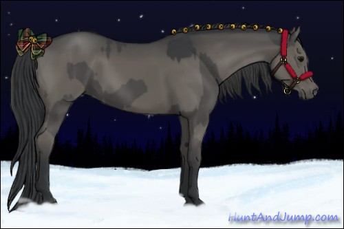 Horse Color:Grullo  and Grullo Rabicano 