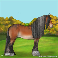 Horse Color:Silver Bay  and Bay 