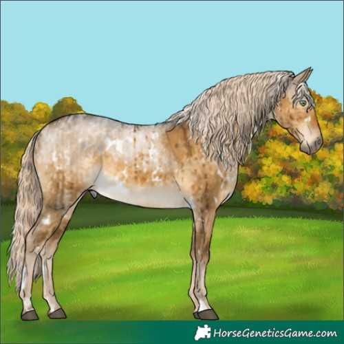 Horse Color:White Spotted Chocolate Palomino Dun Mushroom Brindle  and White Spotted Chocolate Palomino Dun Mushroom Brindle 