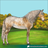 Horse Color:White Spotted Chocolate Palomino Dun Mushroom Brindle and White Spotted Chocolate Palomino Dun Mushroom Brindle