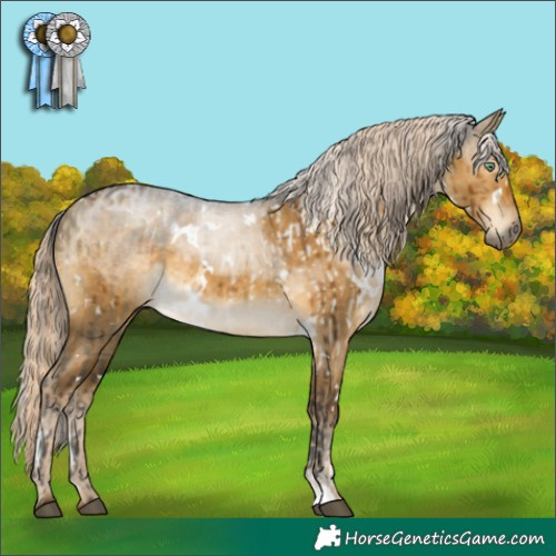 Horse Color:White Spotted Buckskin Dun Mushroom  and White Spotted Chocolate Palomino Dun Mushroom Brindle 