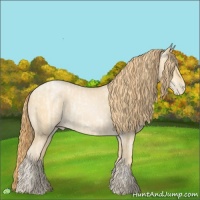 Horse Color:Buckskin Roan Pearl and Buckskin Roan Pearl