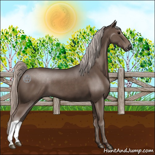 Horse Color:Silver Black 