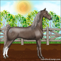Horse Color:Silver Black
