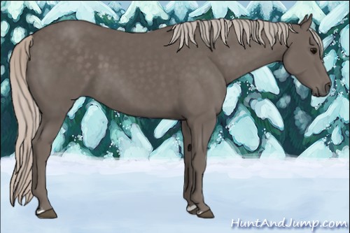 Horse Color:Silver Black 
