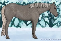 Horse Color:Silver Blue Roan 