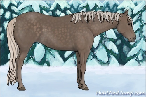 Horse Color:Silver Black 
