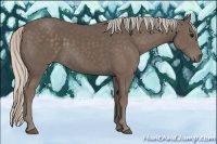 Horse Color:Silver Black 