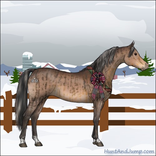 Horse Color:Silver Smoky Black  and Brown 