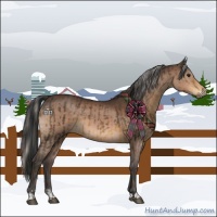 Horse Color:Silver Smoky Black and Brown