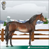 Horse Color:Silver Smoky Black and Brown