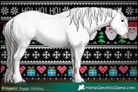Horse Color:Brown Sabino Tobiano Appaloosa