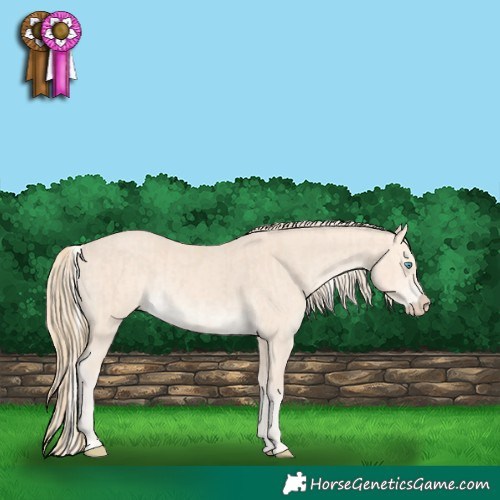 Horse Color:Silver Smoky Creme  and Perlino Rabicano 