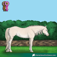 Horse Color:Silver Smoky Creme and Perlino Rabicano
