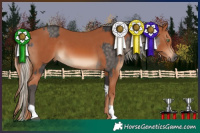 Horse Color:Silver Smoky Black Tobiano  and Chestnut 