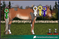 Horse Color:Silver Smoky Black Tobiano  and Chestnut 