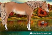 Horse Color:Chestnut  and Chestnut 