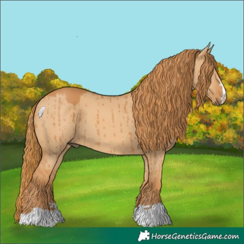 Horse Color:Red Dun Brindle 