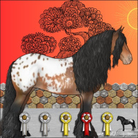 Horse Color:Brown Appaloosa