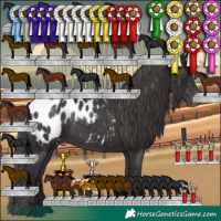 Horse Color:Smoky Black Appaloosa 