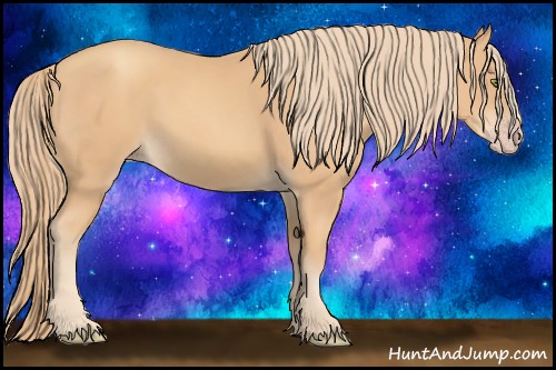 Horse Color:Gold Champagne 