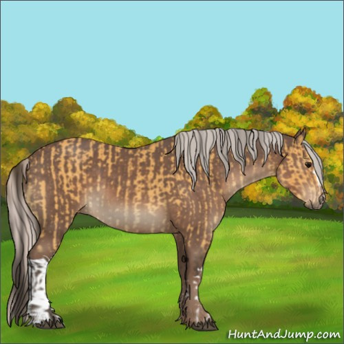 Horse Color:Buckskin and Silver Black