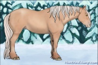 Horse Color:Silver Amber Champagne Frame 