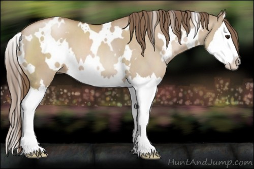 Horse Color:White Spotted Grullo Pearl Sabino Splash 