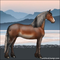 Horse Color:Bay  and Silver Bay 