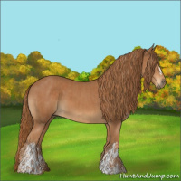 Horse Color:Chestnut  and Chestnut 