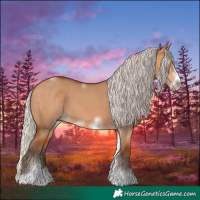 Horse Color:Silver Bay Dun Sabino Tobiano Frame Rabicano 