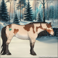 Horse Color:Bay  and Bay Dun 