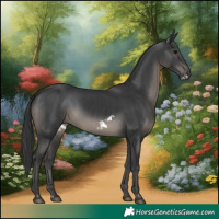 Horse Color:Black  and Black Frame 