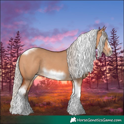 Horse Color:Silver Bay Dun Sabino Tobiano Frame Rabicano 
