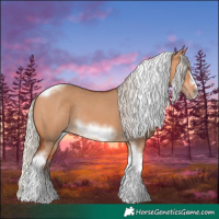 Horse Color:Silver Bay Dun Sabino Tobiano Frame Rabicano 
