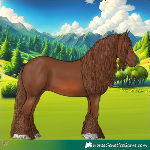 Horse Color:Chestnut 
