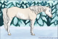 Horse Color:Cremello Splash  and Cremello Splash Rabicano 