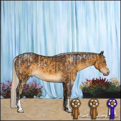 Horse Color:Gold Cream Champagne and Silver Buckskin