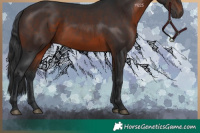 Horse Color:Brown 
